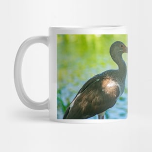 American white ibis in Blossom Trail Mug